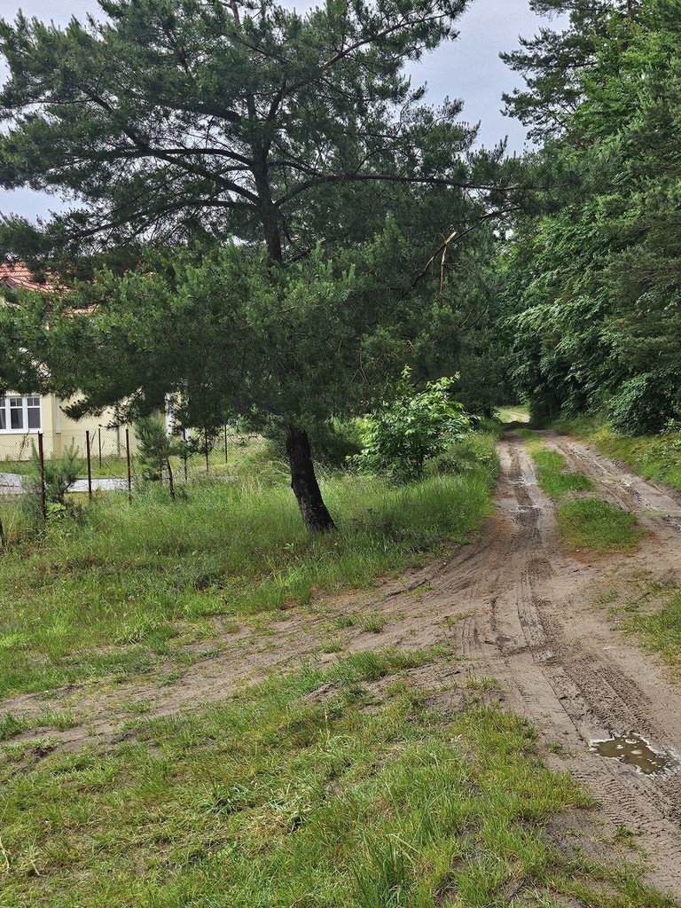 Działka na sprzedaż Wisełka 1 308 m2 | Arka Nieruchomości