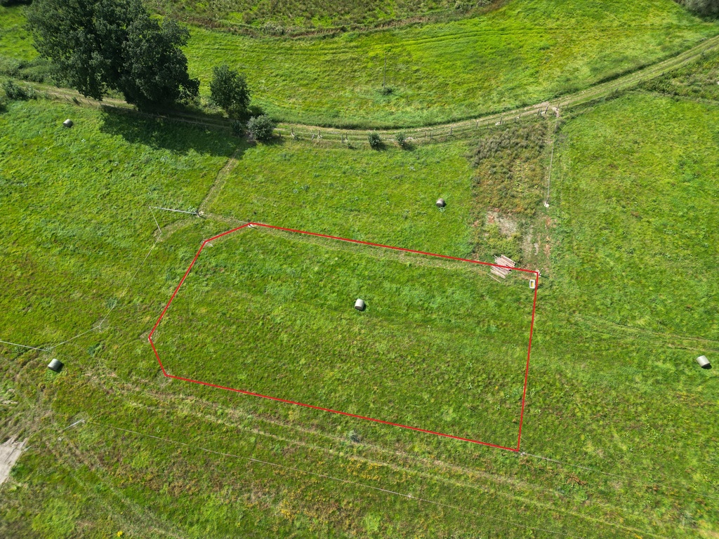 Działka na sprzedaż Węgorza 1 501 m2 | Arka Nieruchomości