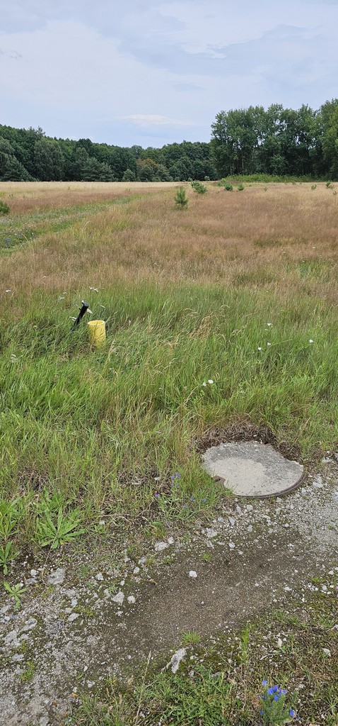 Działka na sprzedaż Nowe Warpno 1 654 m2 | Arka Nieruchomości