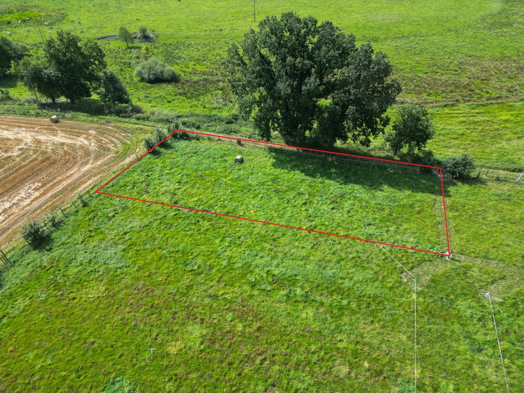Działka na sprzedaż Węgorza 1 292 m2 | Arka Nieruchomości