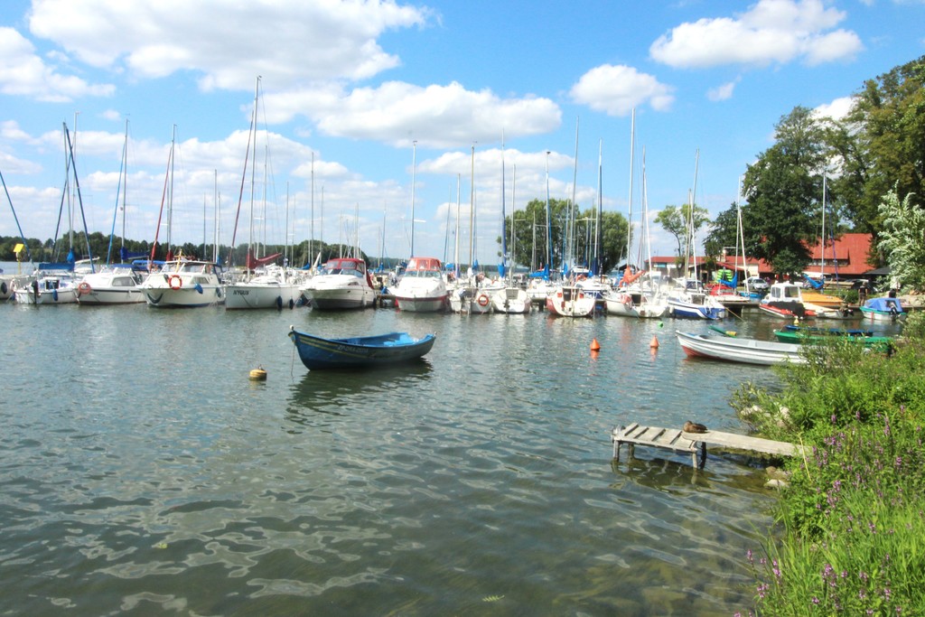 Obiekt na sprzedaż Czaplinek 1 000 m2 | Arka Nieruchomości