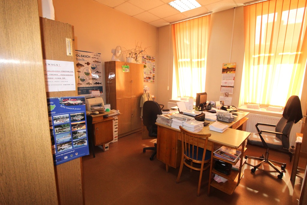 Obiekt na sprzedaż Czaplinek 1 000 m2 | Arka Nieruchomości