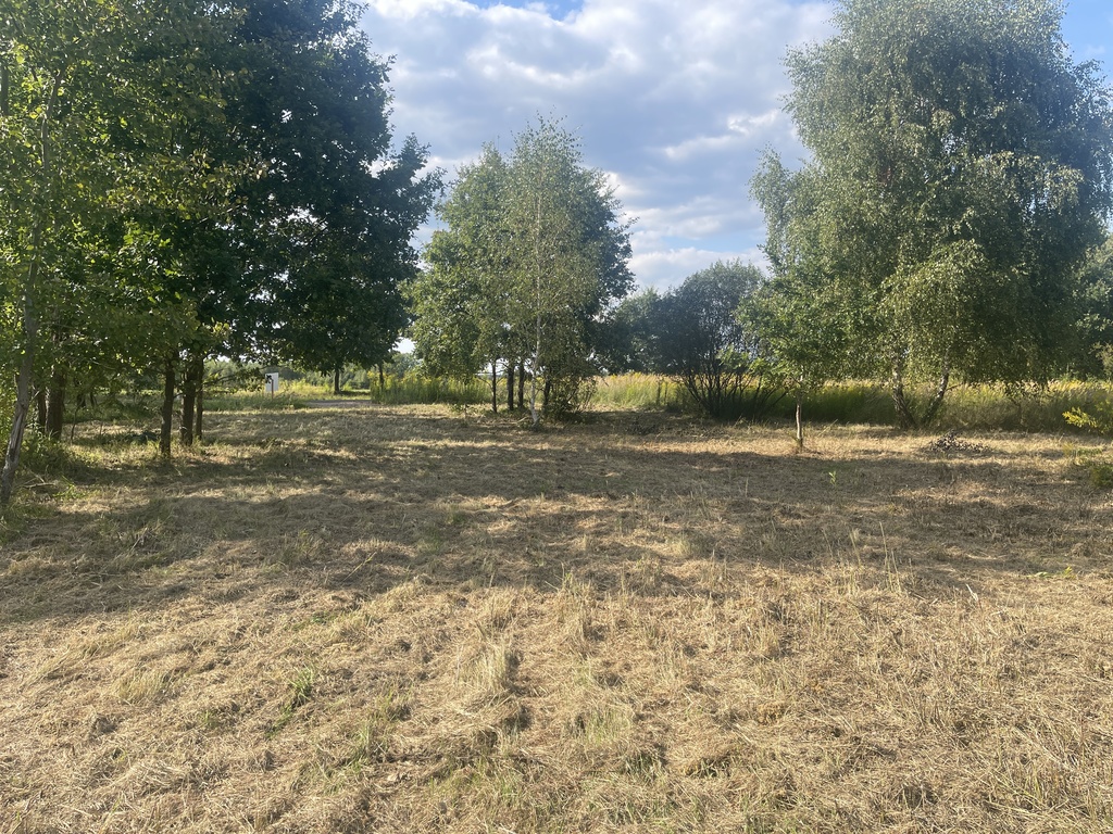 Działka na sprzedaż Żółwia Błoć 1 402 m2 | Arka Nieruchomości