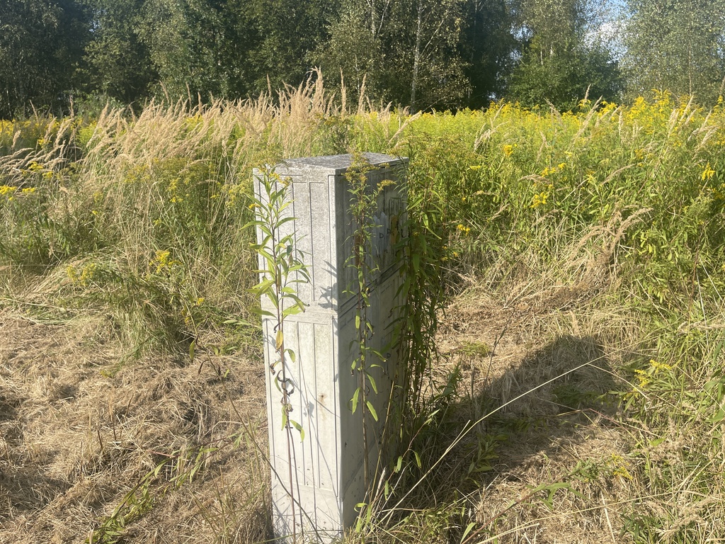 Działka na sprzedaż Żółwia Błoć 1 402 m2 | Arka Nieruchomości