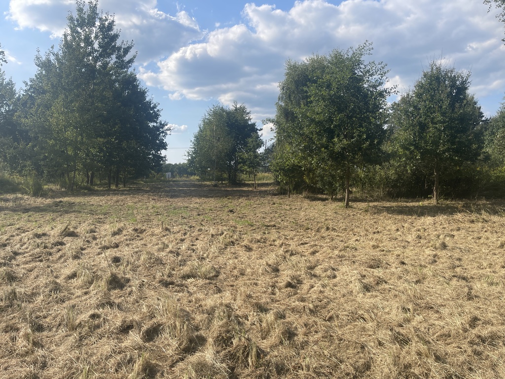 Działka na sprzedaż Żółwia Błoć 1 402 m2 | Arka Nieruchomości