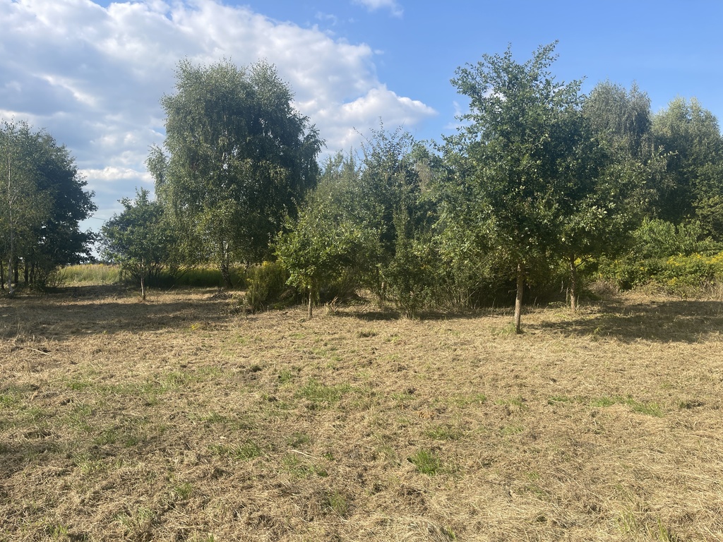 Działka na sprzedaż Żółwia Błoć 1 402 m2 | Arka Nieruchomości