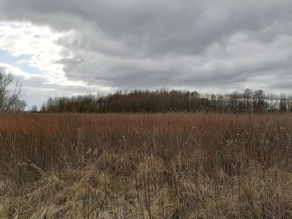 Działka na sprzedaż Szczecin, Dąbie 3 930 m2 | Arka Nieruchomości