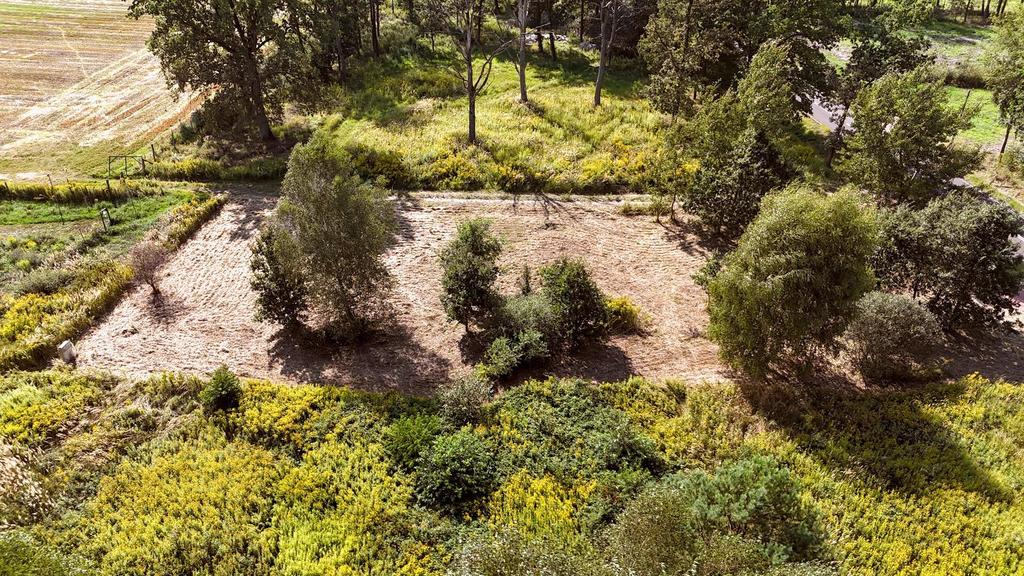 Działka na sprzedaż Żółwia Błoć 1 402 m2 | Arka Nieruchomości