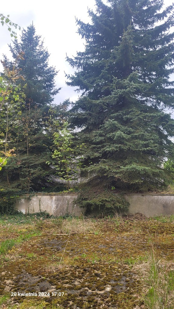 Działka na sprzedaż Recz 8 739 m2 | Arka Nieruchomości