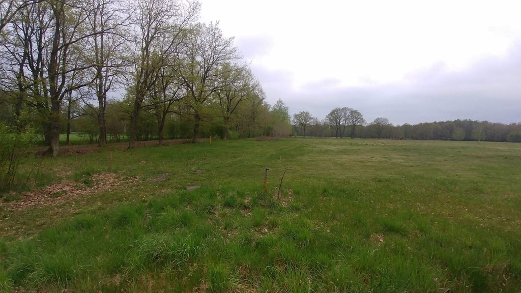 Działka na sprzedaż Rzędziny 819 m2 | Arka Nieruchomości