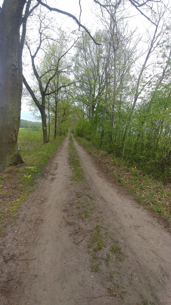 Działka na sprzedaż Rzędziny 819 m2 | Arka Nieruchomości