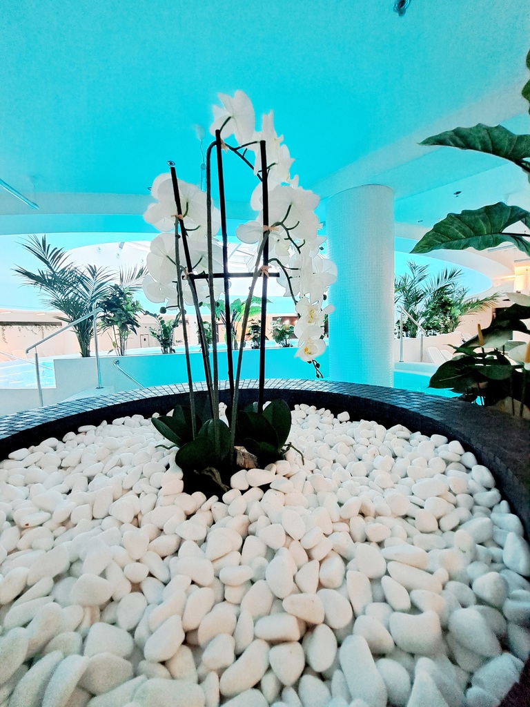 Mieszkanie na wynajem Szczecin, Bolinko 35 m2 | Arka Nieruchomości