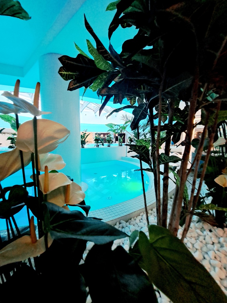 Mieszkanie na wynajem Szczecin, Bolinko 35 m2 | Arka Nieruchomości