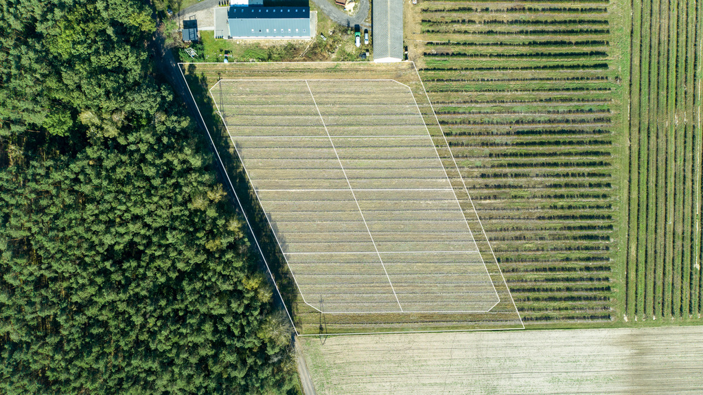 Ustawna działka budowlana w dmosinie drugim – zdjęcie 7