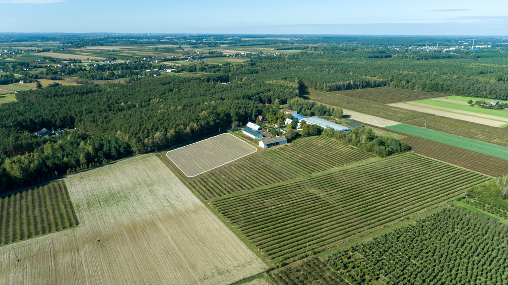 Ustawna działka budowlana w dmosinie drugim – zdjęcie 2