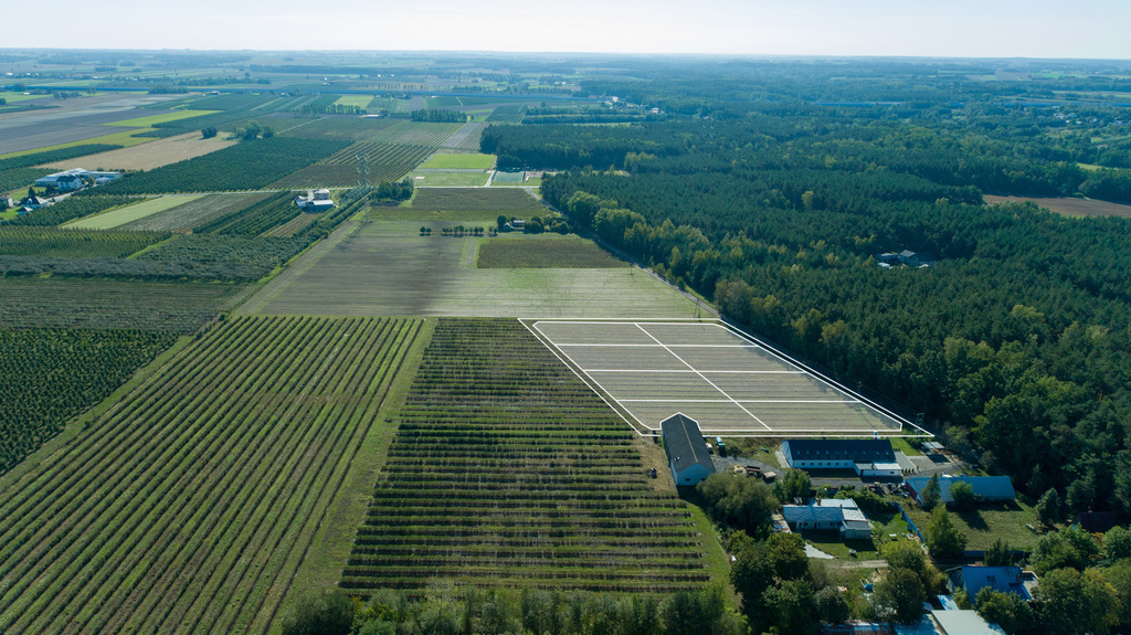 Ustawna działka budowlana w dmosinie drugim – zdjęcie 3
