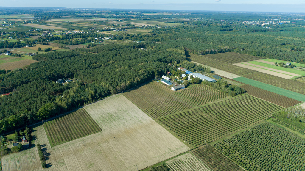 Ustawna działka budowlana w dmosinie drugim – zdjęcie 4