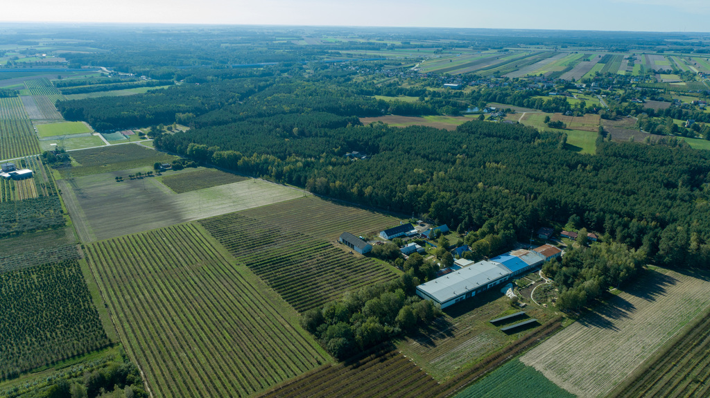Ustawna działka budowlana w dmosinie drugim – zdjęcie 10