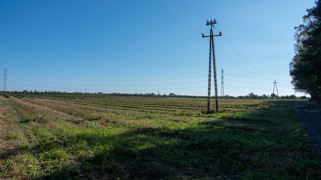Ustawna działka budowlana w dmosinie drugim – zdjęcie 12
