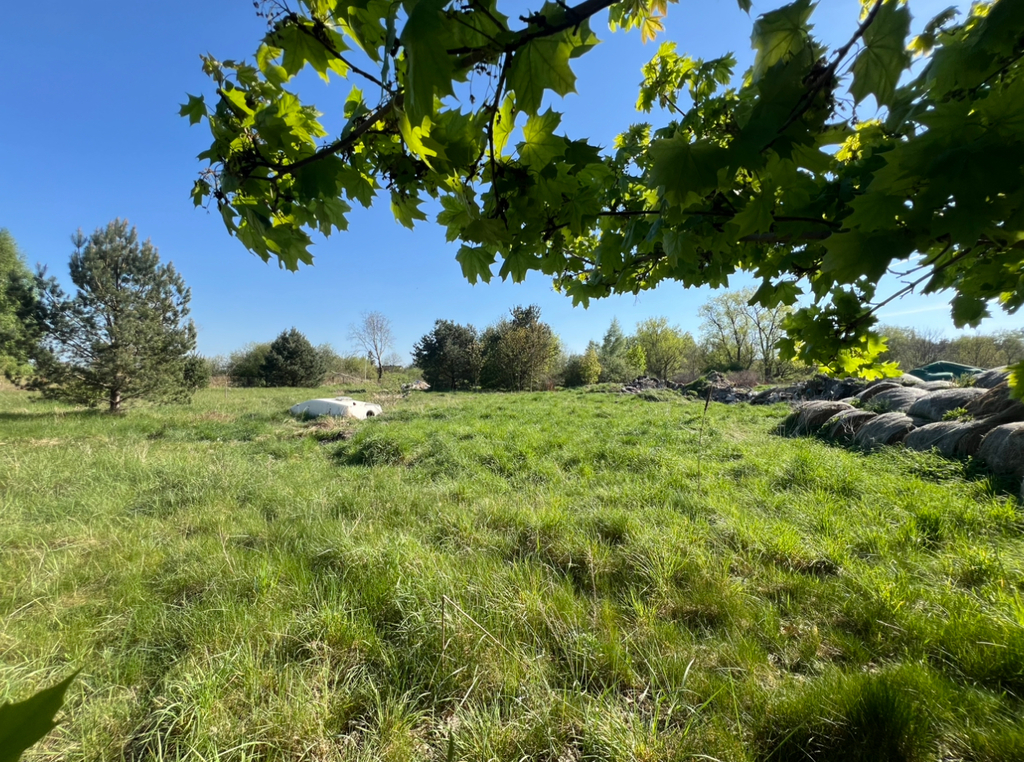 Działka na sprzedaż Ładzin 3 005 m2 | Arka Nieruchomości