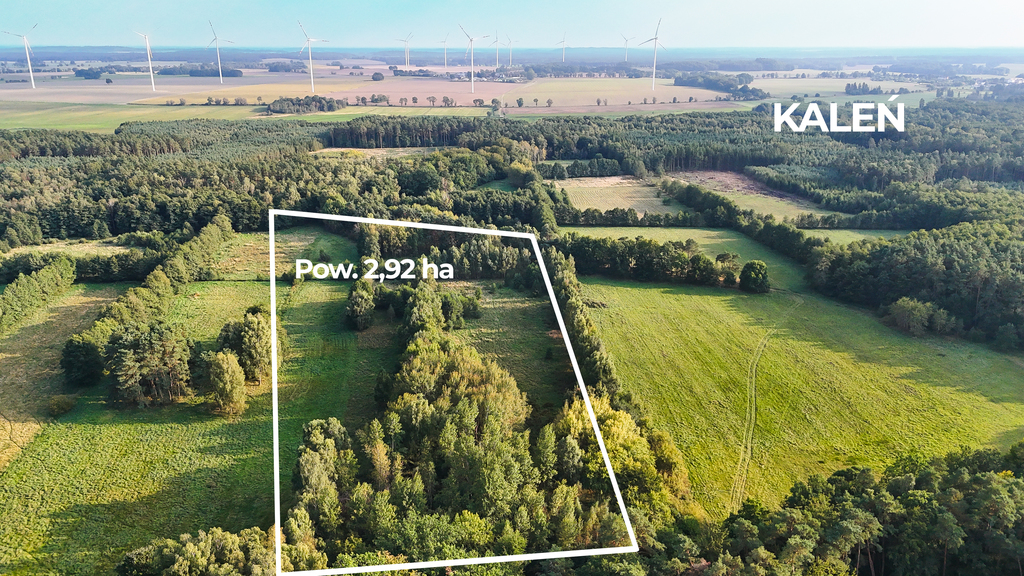 Działka na sprzedaż Kaleń 29 200 m2 | Arka Nieruchomości