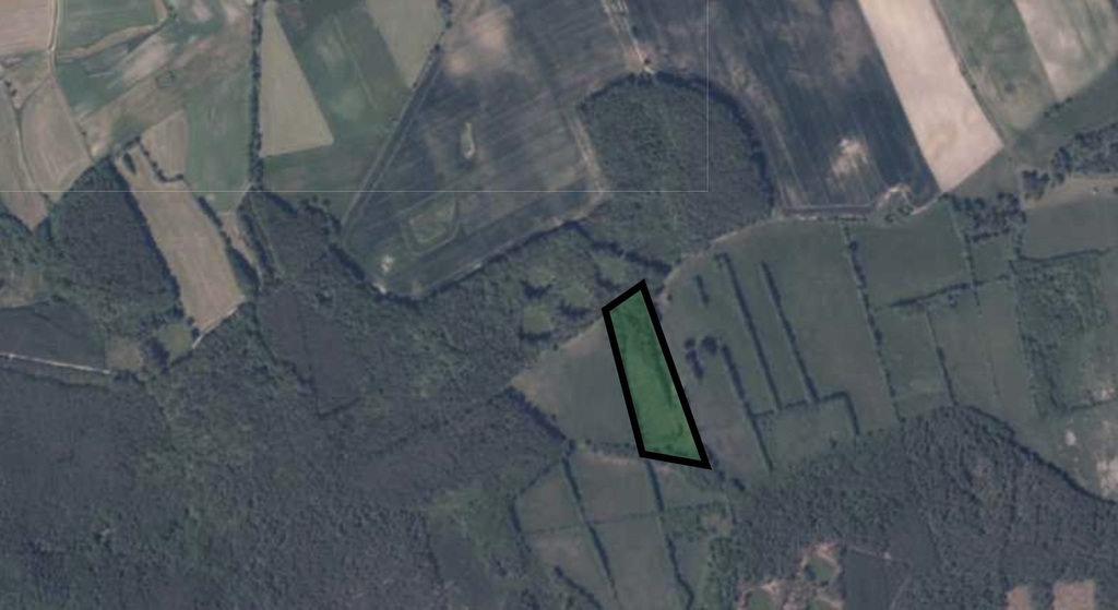 Działka na sprzedaż Kaleń 29 200 m2 | Arka Nieruchomości