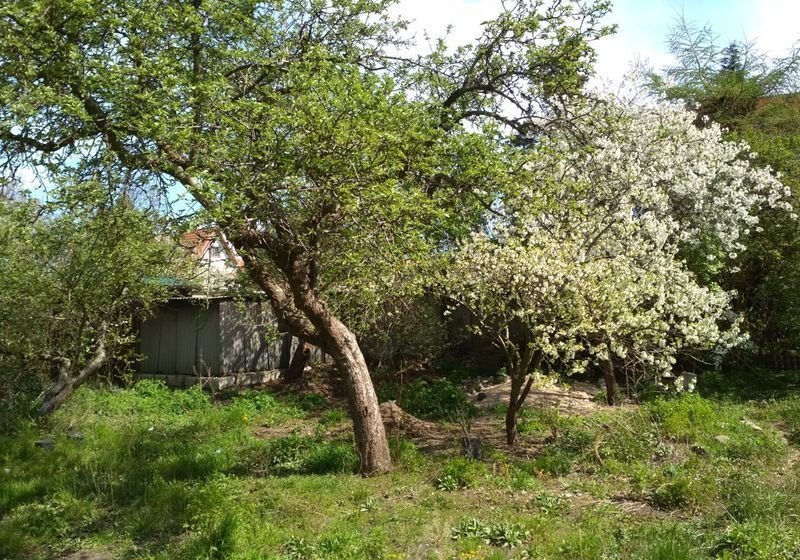 Działka na sprzedaż Szczecin, Pogodno 995 m2 | Arka Nieruchomości