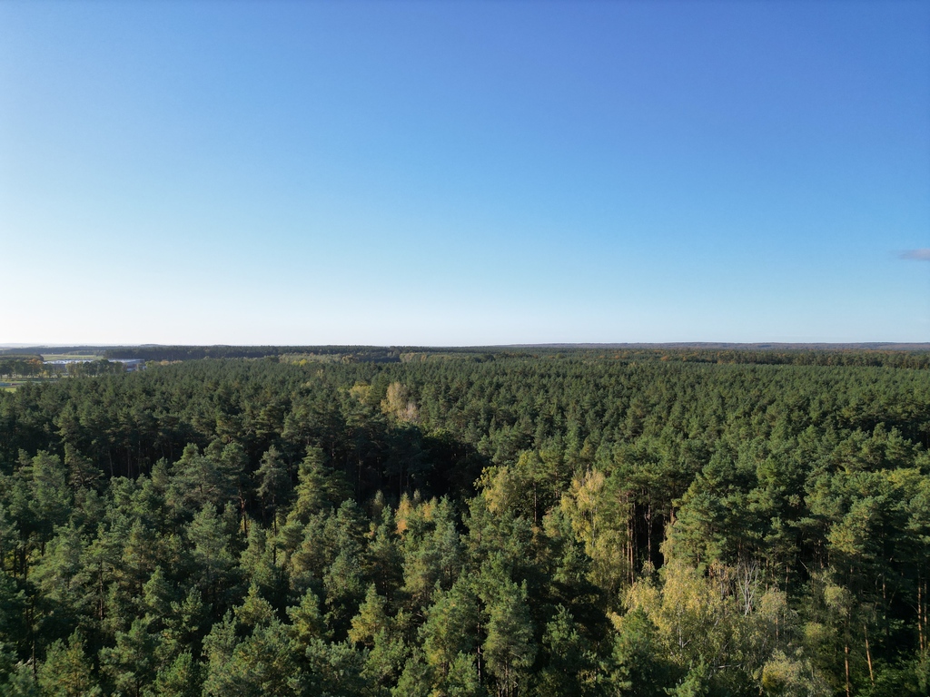 Dom na sprzedaż Motaniec 237 m2 | Arka Nieruchomości