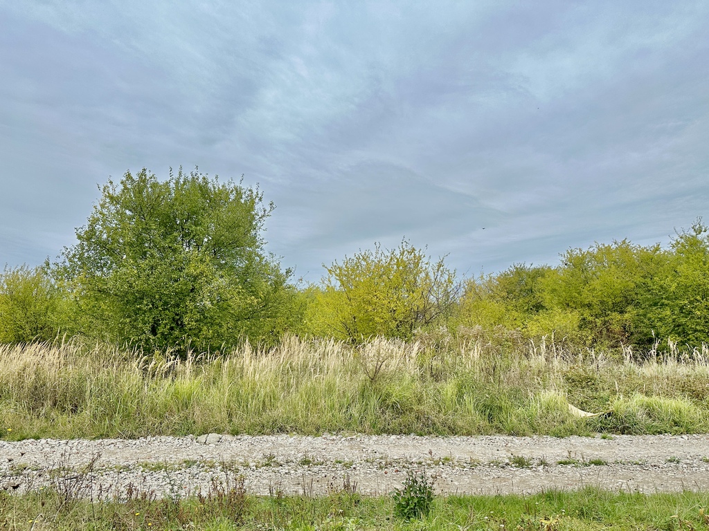 Działka na sprzedaż Mierzyn 1 103 m2 | Arka Nieruchomości