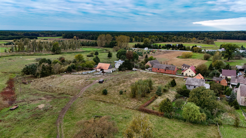 Działka na sprzedaż Poczernin 3 108 m2 | Arka Nieruchomości