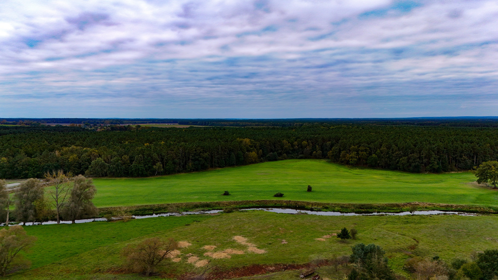 Działka na sprzedaż Poczernin 3 108 m2 | Arka Nieruchomości