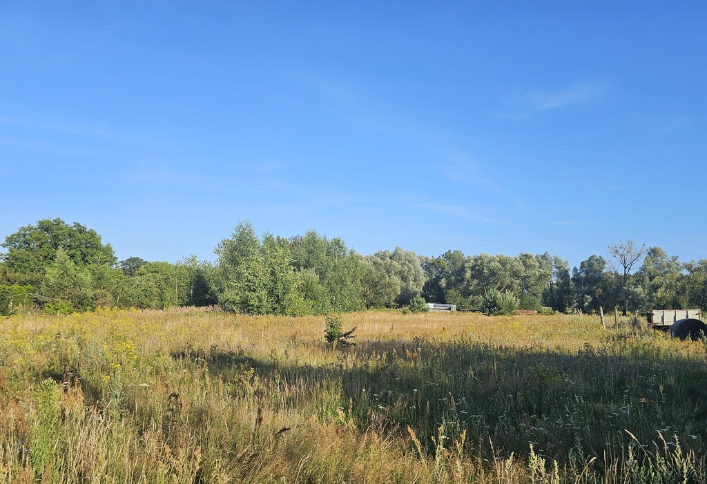 Działka na sprzedaż Poczernin 3 108 m2 | Arka Nieruchomości
