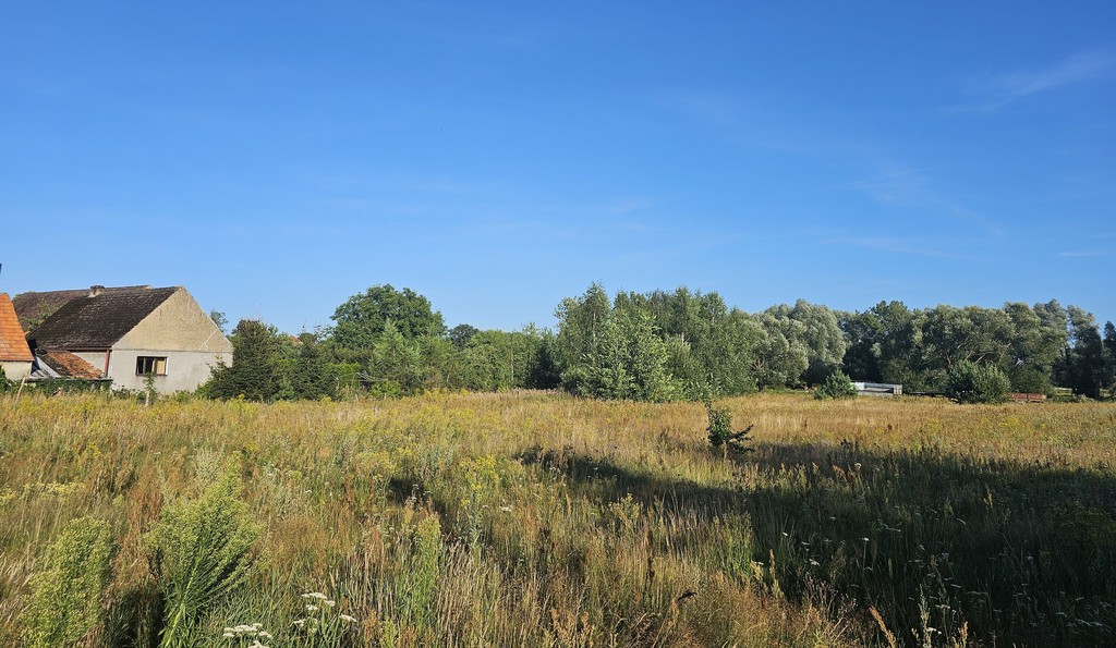Działka na sprzedaż Poczernin 3 108 m2 | Arka Nieruchomości