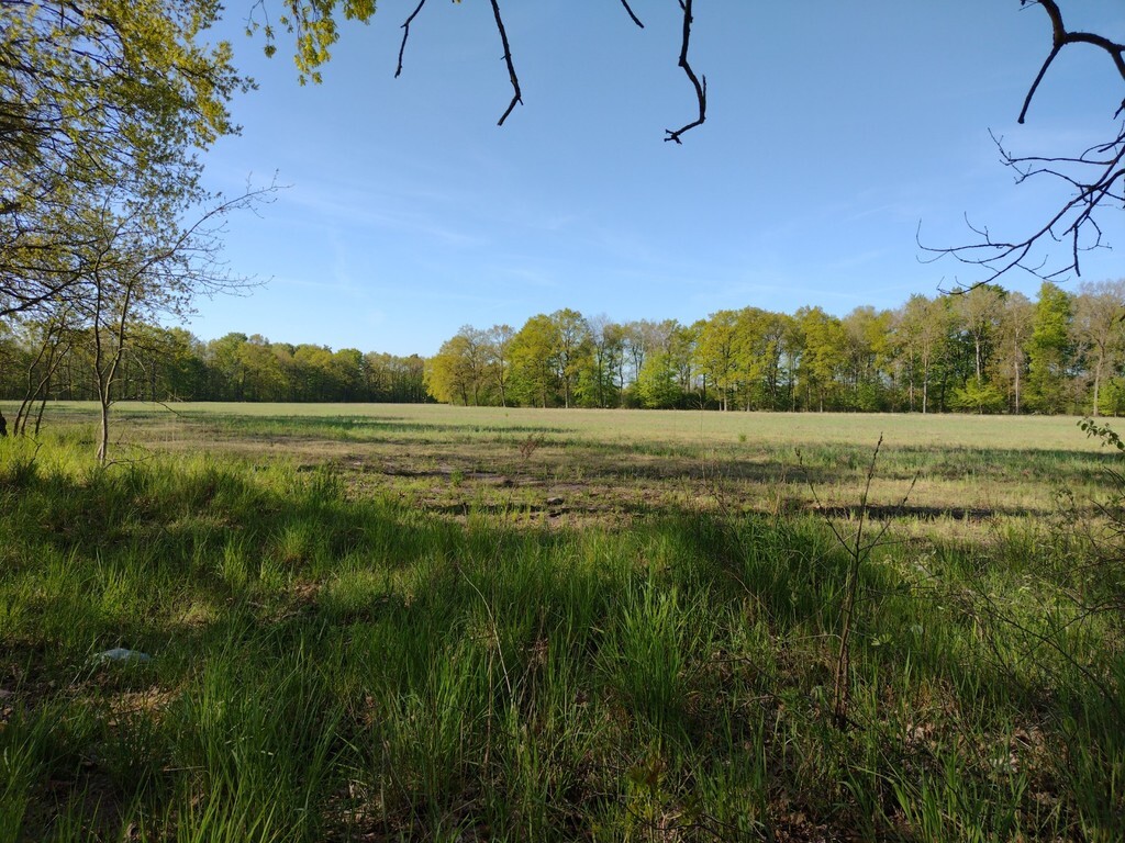 Działka na sprzedaż Rzędziny 15 000 m2 | Arka Nieruchomości
