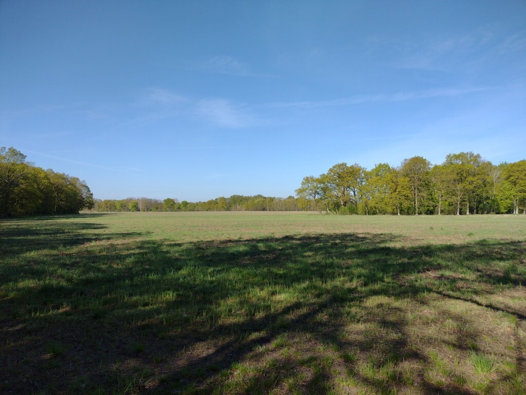 Działka na sprzedaż Rzędziny 15 000 m2 | Arka Nieruchomości