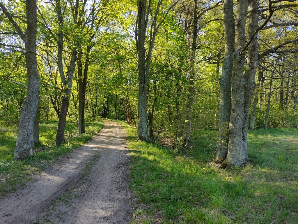 Działka na sprzedaż Rzędziny 15 000 m2 | Arka Nieruchomości