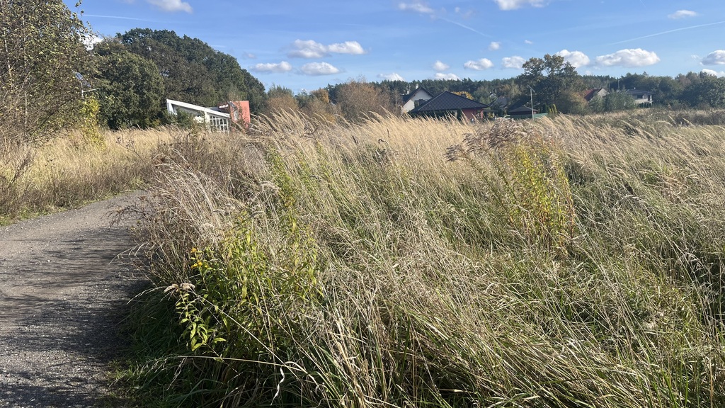 Działka na sprzedaż Dobra 909 m2 | Arka Nieruchomości