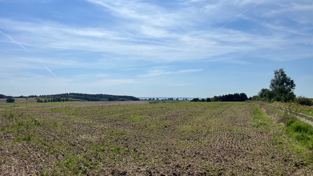Działka na sprzedaż Żelewo 3 000 m2 | Arka Nieruchomości