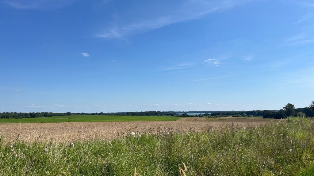 Działka na sprzedaż Żelewo 3 000 m2 | Arka Nieruchomości