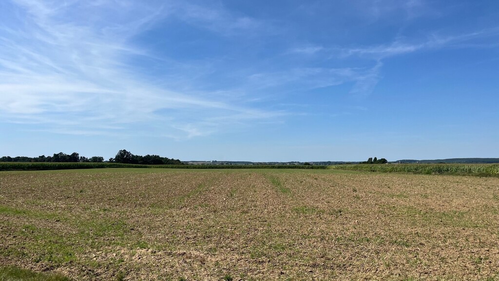 Działka na sprzedaż Żelewo 3 000 m2 | Arka Nieruchomości