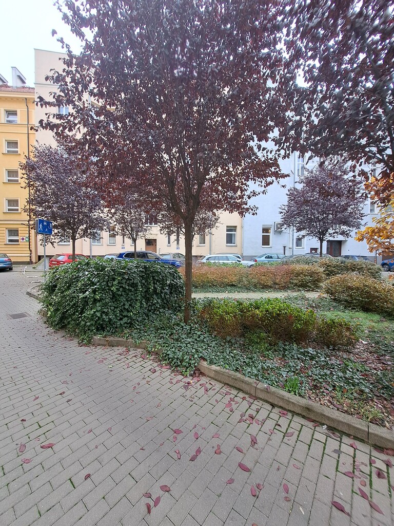 Mieszkanie na sprzedaż Szczecin, Śródmieście-Centrum 47 m2 | Arka Nieruchomości