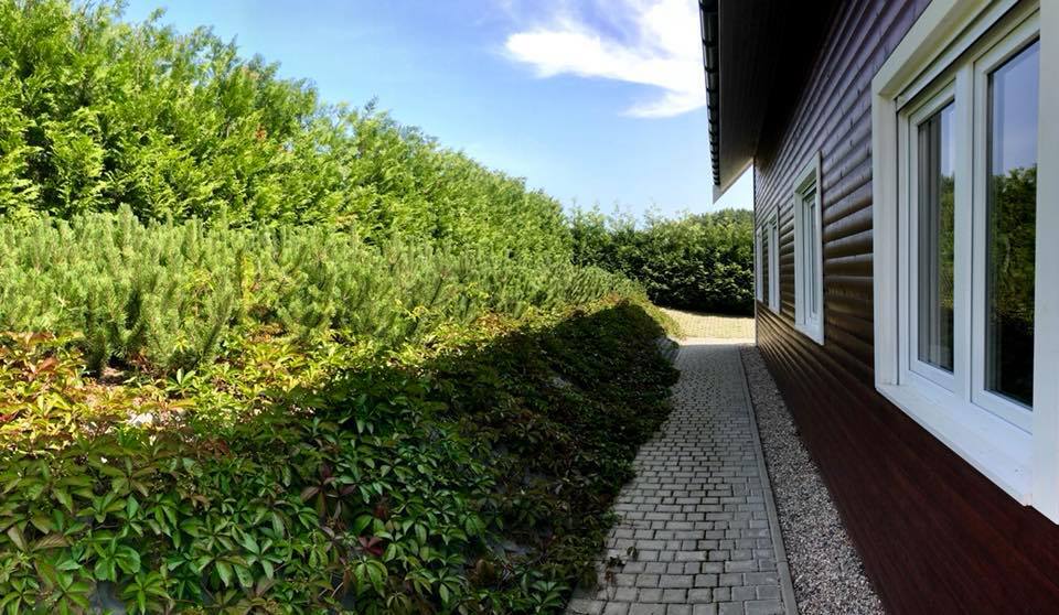 Obiekt na sprzedaż Wisełka 495 m2 | Arka Nieruchomości