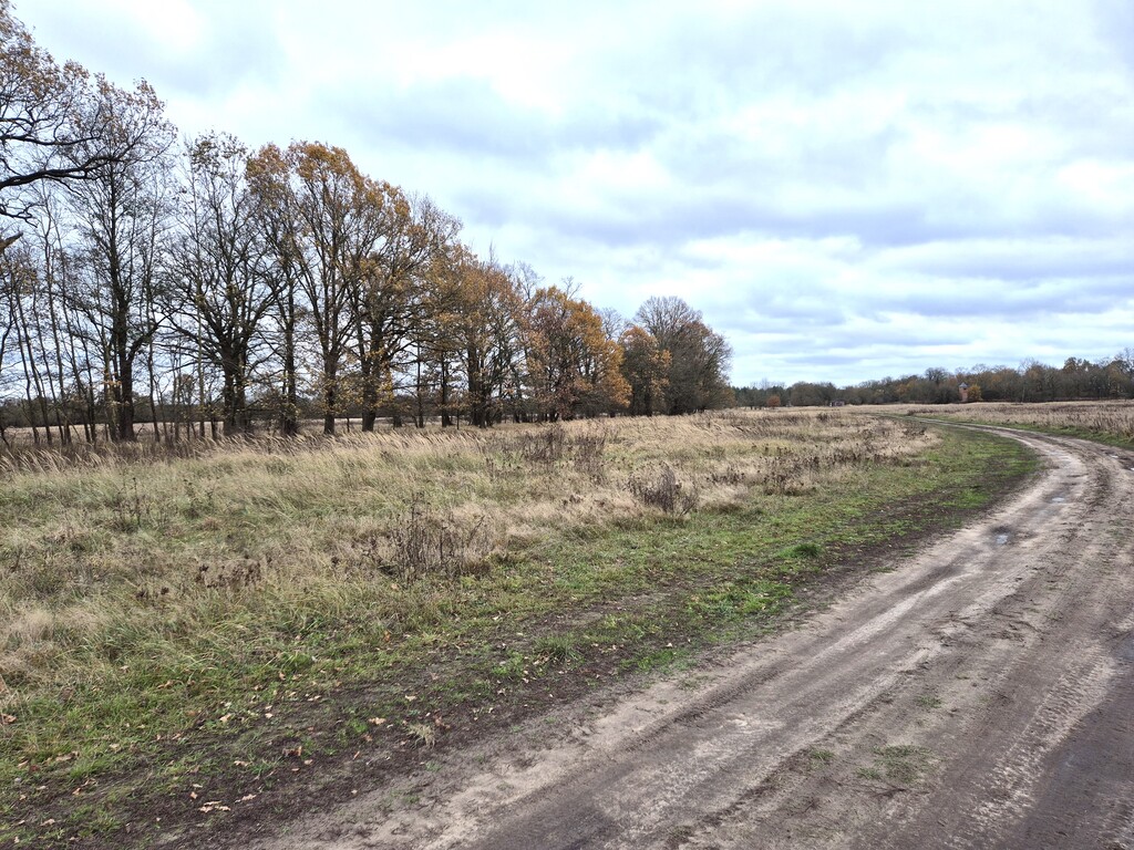 Działka na sprzedaż Łęgi 3 060 m2 | Arka Nieruchomości