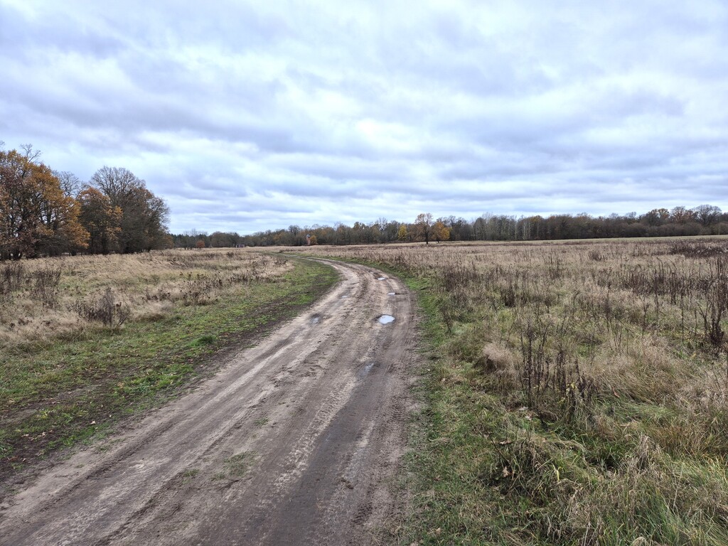 Działka na sprzedaż Łęgi 3 061 m2 | Arka Nieruchomości
