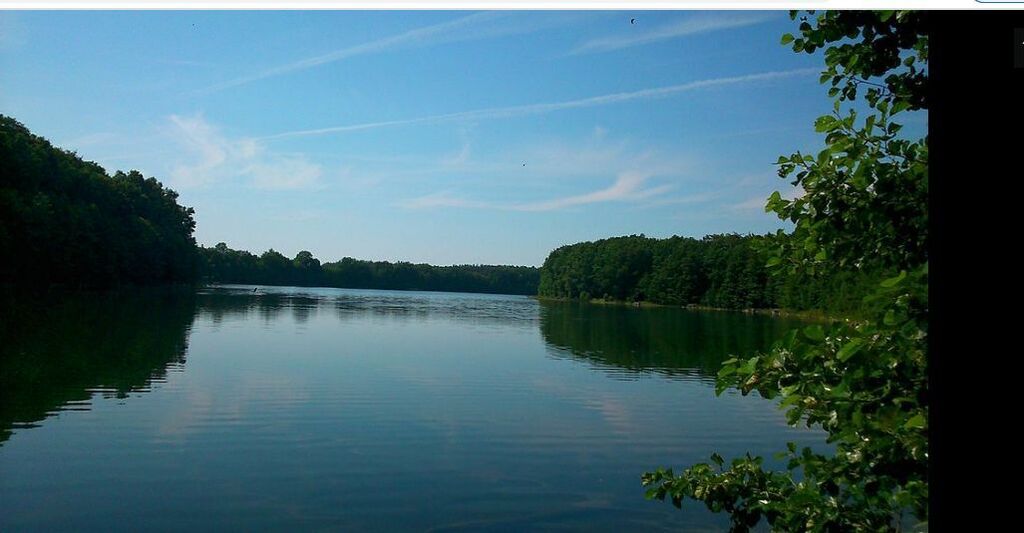 Działka na sprzedaż Żelisławie 12 059 m2 | Arka Nieruchomości