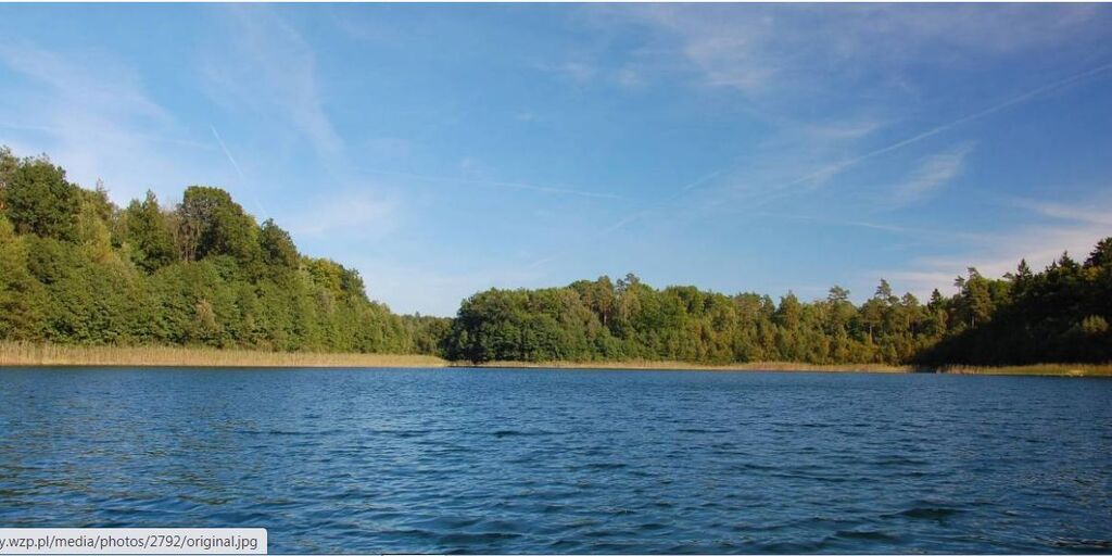 Działka na sprzedaż Żelisławie 3 393 m2 | Arka Nieruchomości