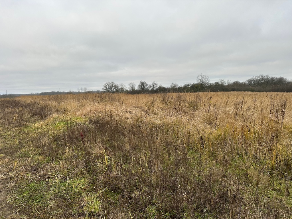 Działka na sprzedaż Szczecin, Stołczyn 800 m2 | Arka Nieruchomości