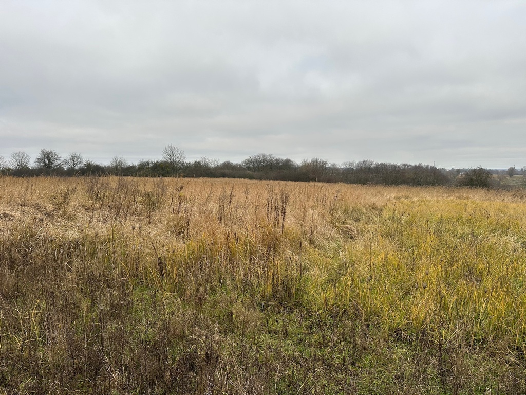 Działka na sprzedaż Szczecin, Stołczyn 800 m2 | Arka Nieruchomości