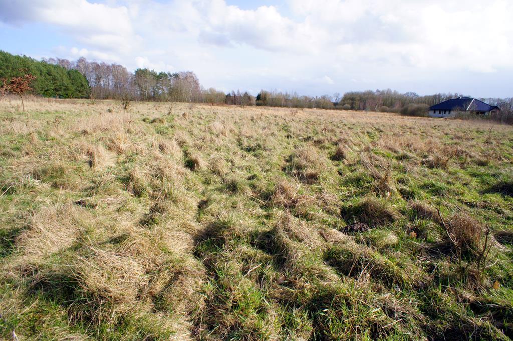 Działka na sprzedaż Żółwia Błoć 1 072 m2 | Arka Nieruchomości