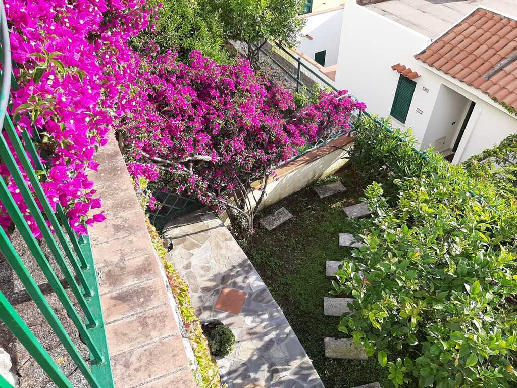 Dom na sprzedaż  160 m2 | Arka Nieruchomości